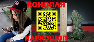 крисы Будённовск