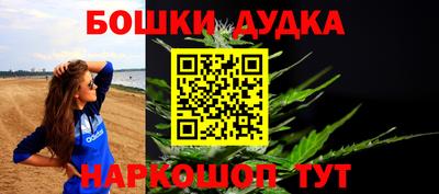 крисы Будённовск