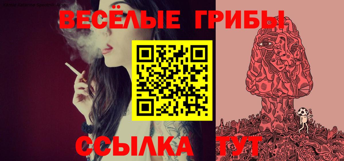Псилоцибиновые грибы Psilocybine cubensis  Вход с VPN  Старая Русса 